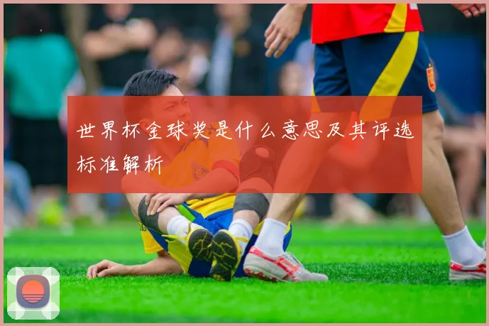 世界杯金球奖是什么意思及其评选标准解析