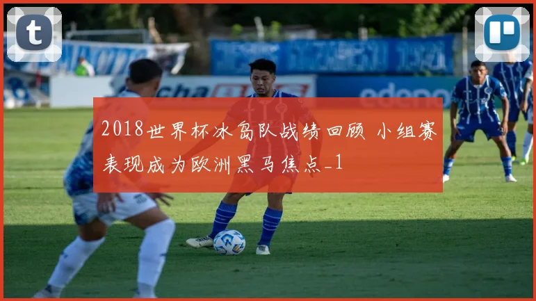 2018世界杯冰岛队战绩回顾 小组赛表现成为欧洲黑马焦点_1