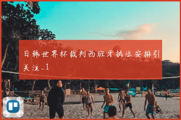 日韩世界杯裁判西班牙执法安排引关注_1
