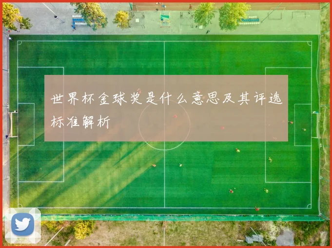 世界杯金球奖是什么意思及其评选标准解析