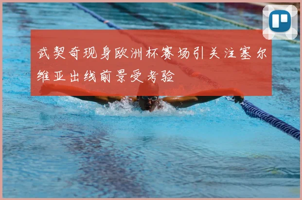 武契奇现身欧洲杯赛场引关注塞尔维亚出线前景受考验