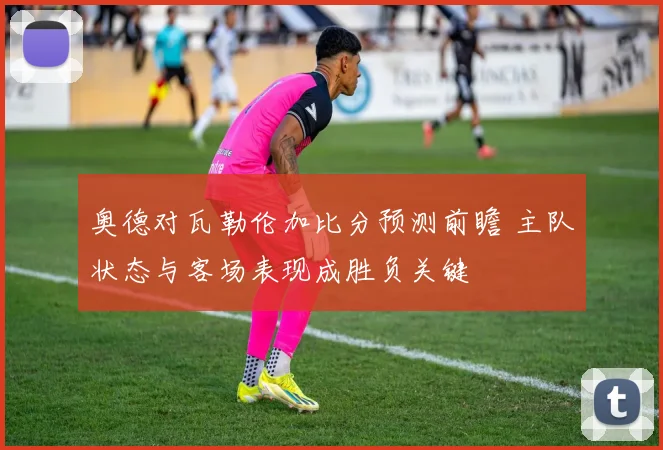 奥德对瓦勒伦加比分预测前瞻 主队状态与客场表现成胜负关键