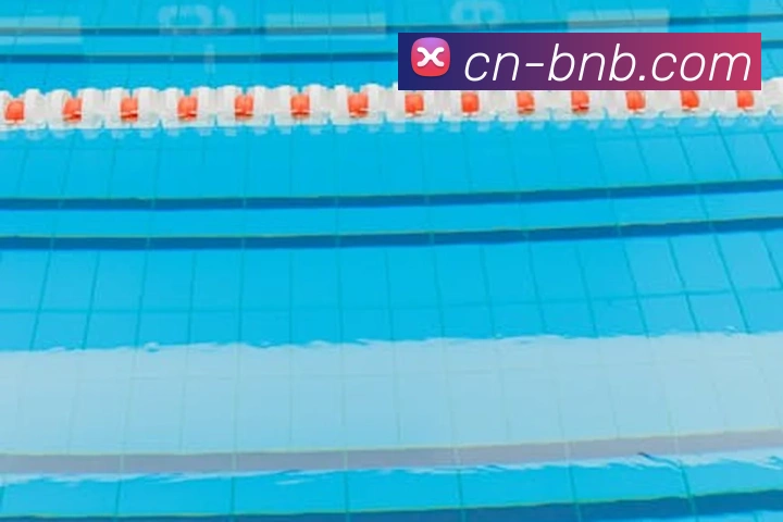 世界杯官网线上平台平台生态图